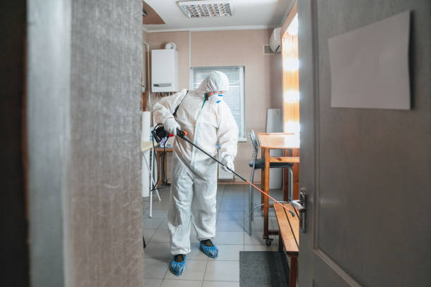 Best Biohazard Mold Removal  in Westwood, KY